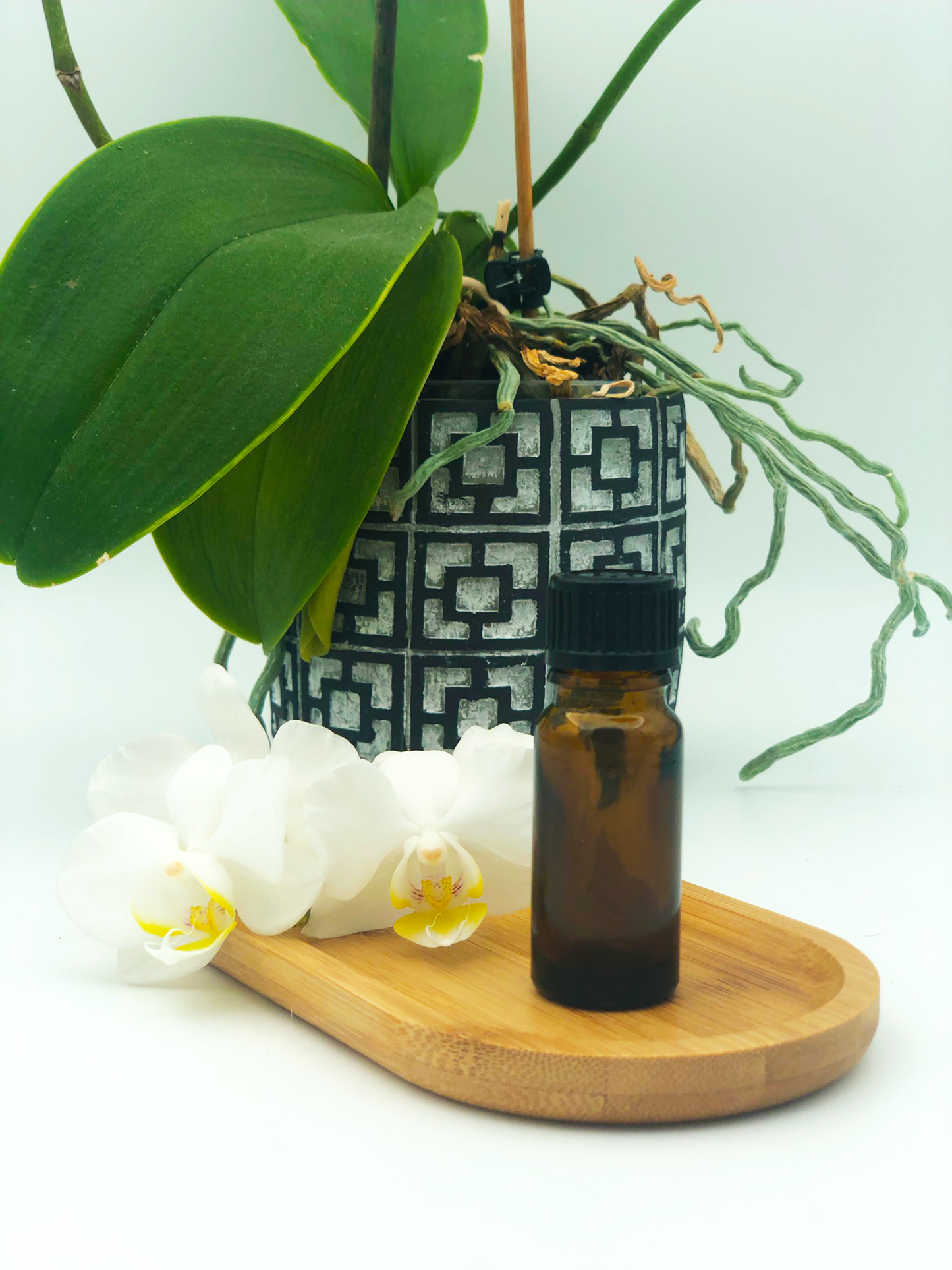 Geur 'Orchidee & Bergamot'